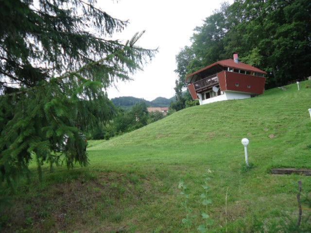 Chalet Contemporain Plein Nature 알텐바흐 외부 사진