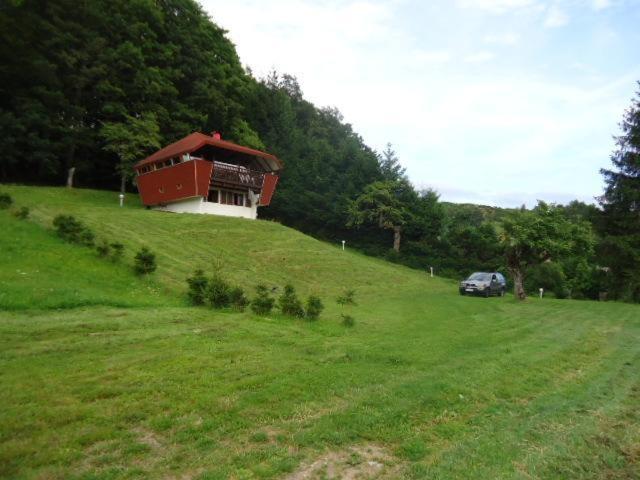 Chalet Contemporain Plein Nature 알텐바흐 외부 사진